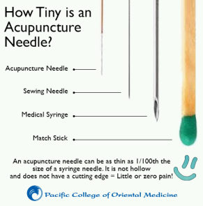 Needle Comparison